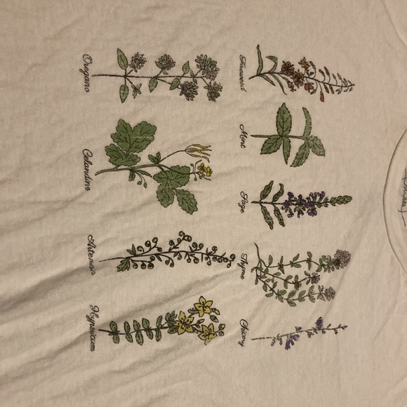Herbs & Spices White T-Shirt Women’s L Graphic Tee - Picture 2 of 4